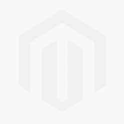 Geldboom (Pachira Aquatica) D 21 H 90 Cm