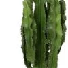 Cowboycactus (Euphorbia Erytrea) D 30 H 130 Cm