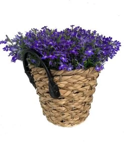 Intratuin Arrangement Lobelia In Mand D 24 H 25 Cm