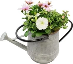 Intratuin Arrangement Zomerbloeiers In Zinken Gieter D 45 H 40 Cm