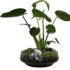 Intratuin Arrangement Glazen Schaal Met Monstera D 24 H 44 Cm