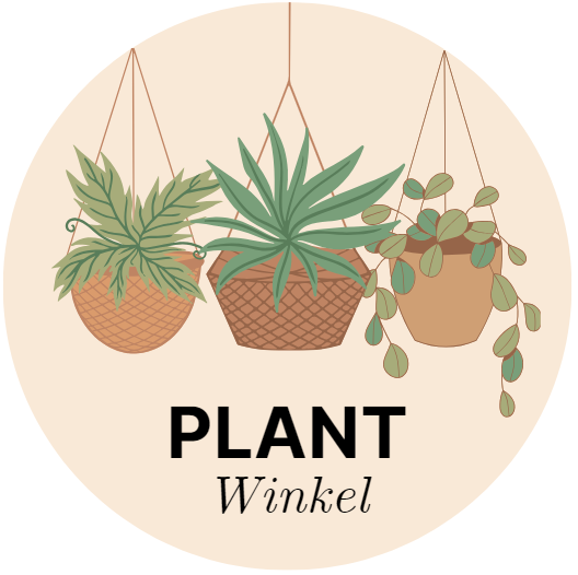 Kortingswinkel Voor Kamerplanten